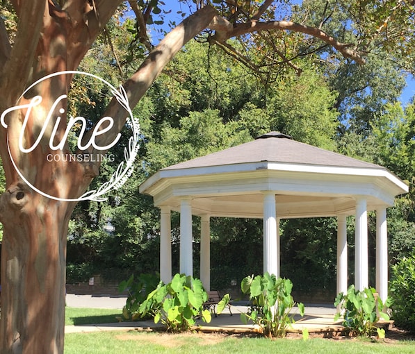 Introducing Vine Counseling Vine Counseling